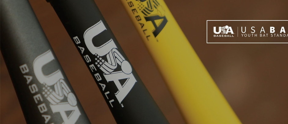 Baseball Bat Standards 